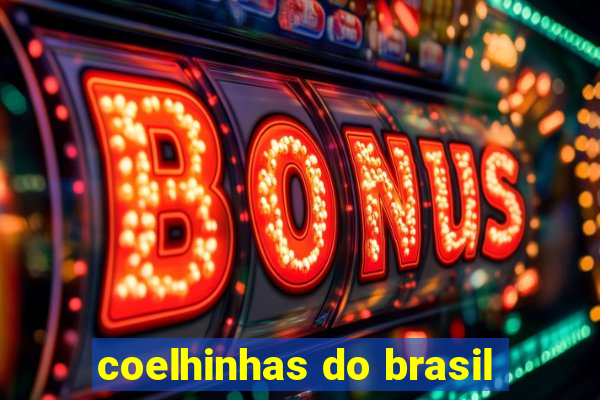 coelhinhas do brasil